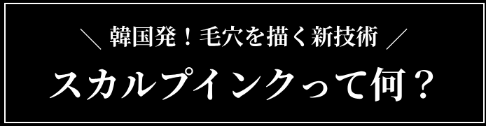 スカルプインクって何？